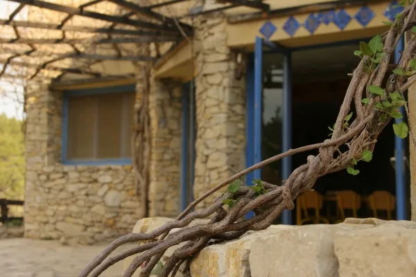 Entrée voûtée en pierre du gîte avec pergola de vigne et portes-fenêtres bleues