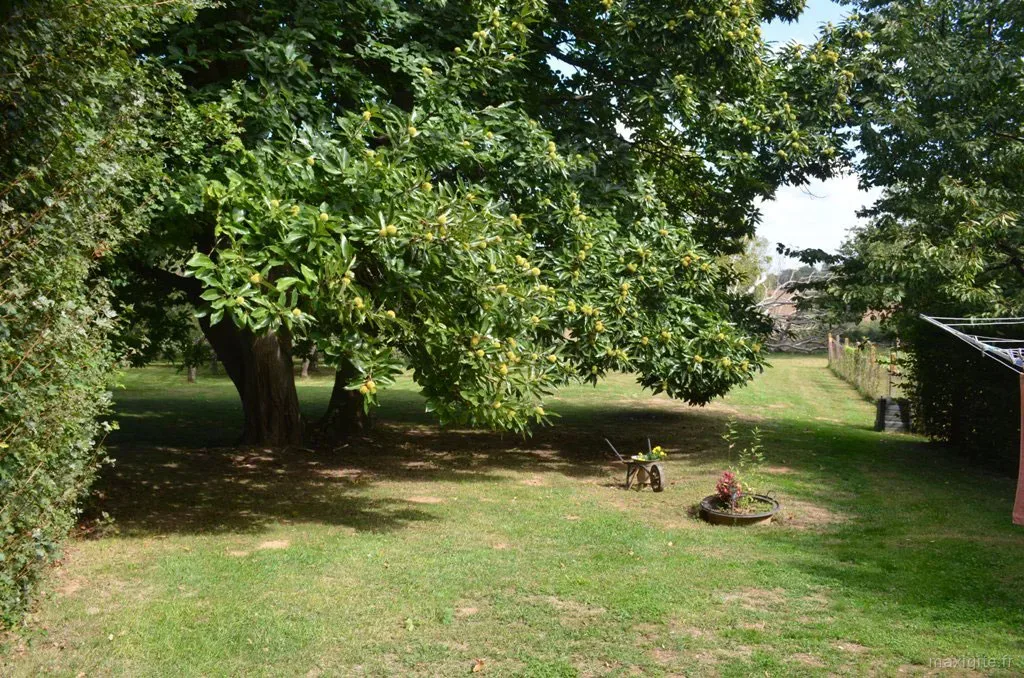 Grand jardin ombragé planté d'arbres fruitiers autour du gîte