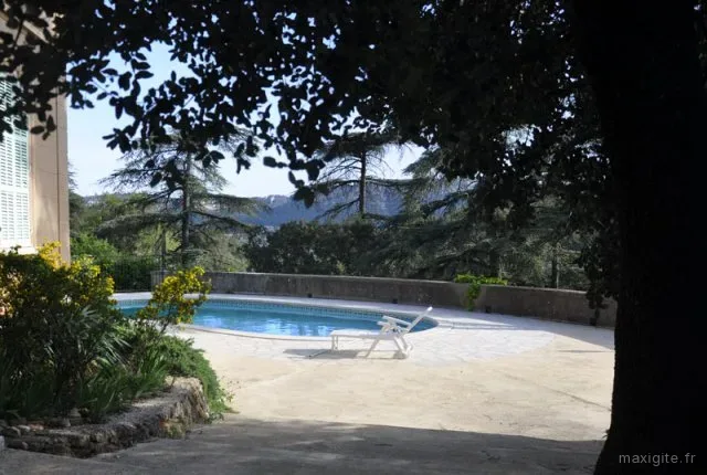 Piscine en forme de haricot entourée de terrasse en pierre, vue sur les collines boisées