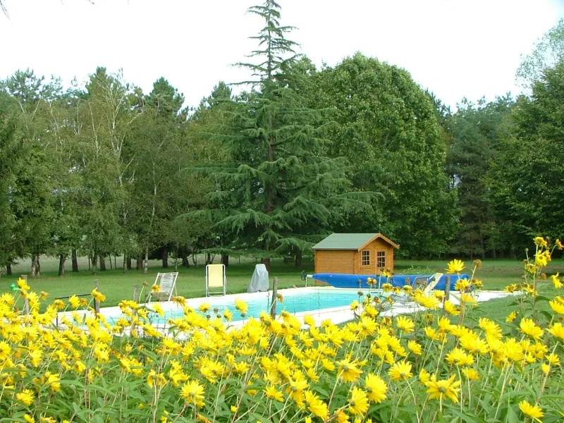 Piscine extérieure entourée de transats et de fleurs, avec vue sur les arbres du domaine