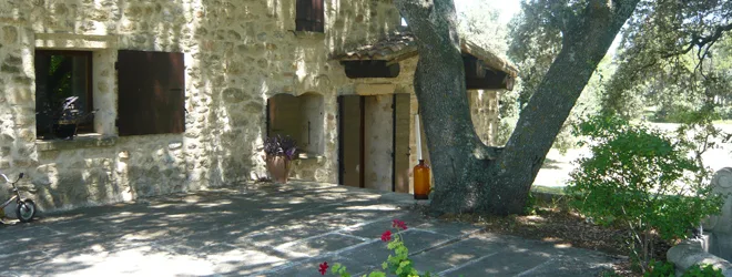 Façade en pierre ancienne sous un grand chêne, entrée ombragée de la bergerie restaurée