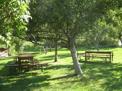Grand jardin arboré avec tables de pique-nique à l'ombre des arbres