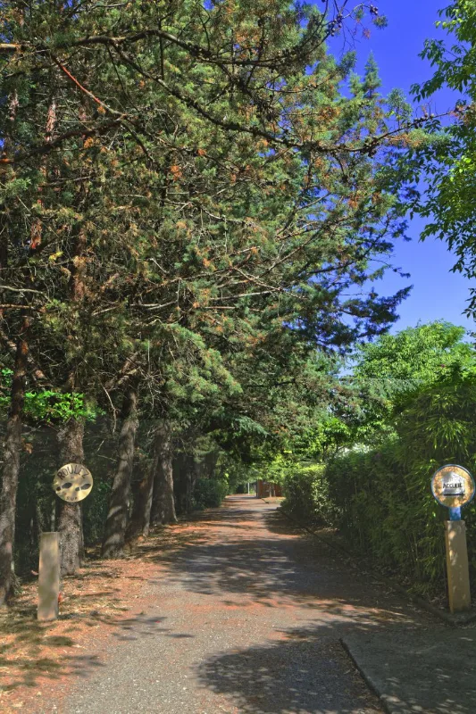 Allée arborée menant au centre d'accueil Le Val de l'Hort, porte des Cévennes à Anduze