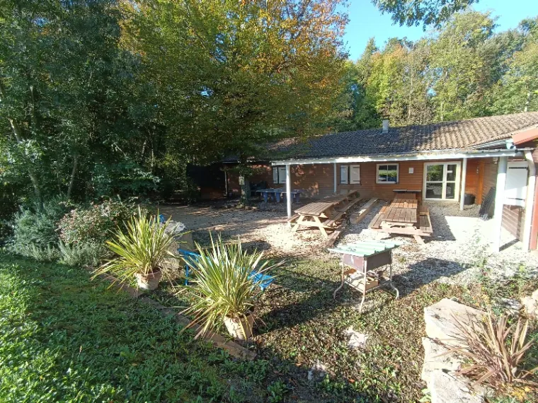 Terrasse extérieure avec tables de pique-nique en bois face au chalet en forêt automnale