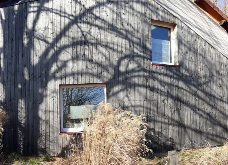 Détail de mur en bois gris avec ombre d'arbre projetée sur la façade extérieure