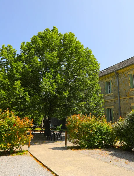 Cour intérieure ombragée par le tilleul centenaire devant la bâtisse en pierre