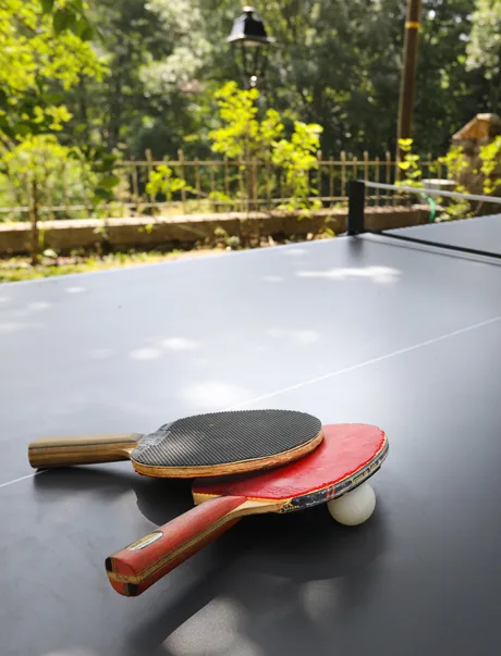 Table de ping-pong en extérieur avec vue sur la végétation des Cévennes