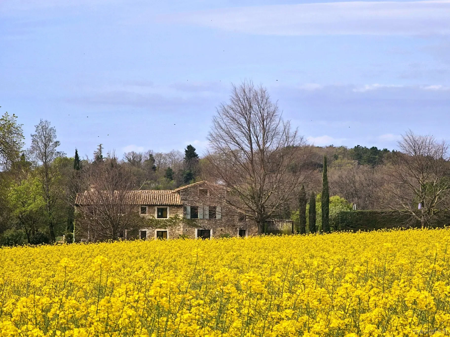 Vue panoramique du domaine en pierre derrière un champ de colza jaune avec cyprès et collines boisées