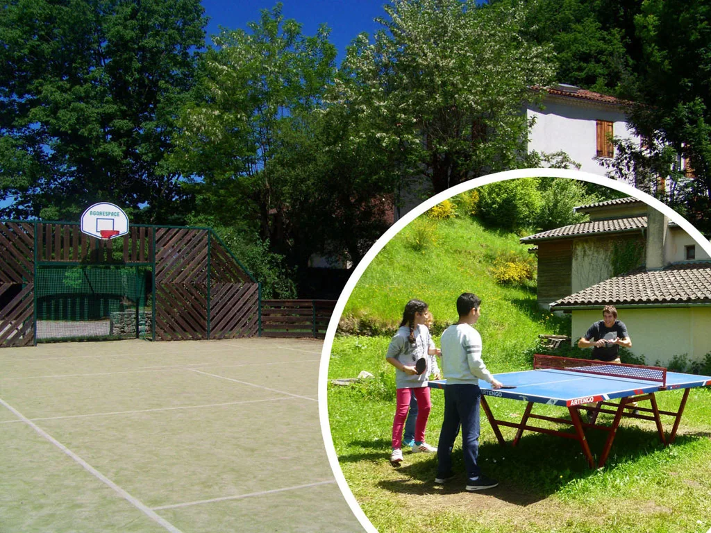 Terrain de basket extérieur entouré d'arbres et table de ping-pong dans le jardin avec des joueurs en activité