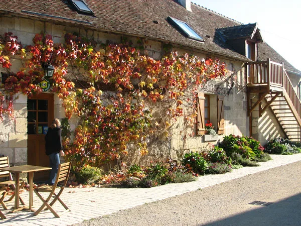 Facade du gite couverte de vigne vierge aux couleurs automnales avec pelouse verte au premier plan