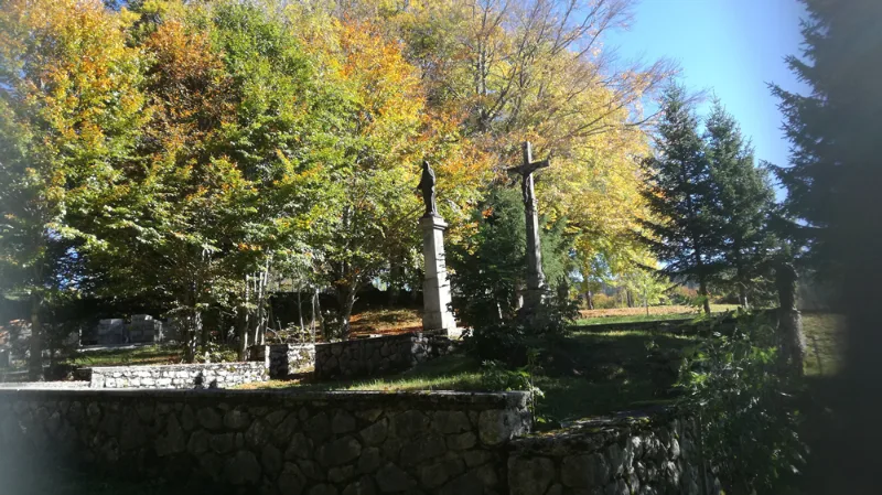 Paysage automnal du Jura avec arbres aux couleurs dorées et orangées bordant les prairies