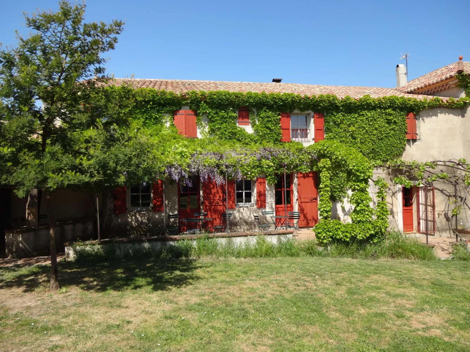 Gîte de groupe Domaine du Viala à Paraza — Façade en pierre couverte de vigne vierge et volets rouges du mas viticole sous un ciel bleu, capacité 20 personnes