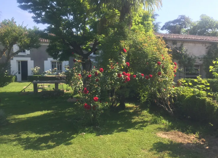 Façade en pierre du domaine entourée d'un rosier grimpant rouge et d'un grand jardin arboré