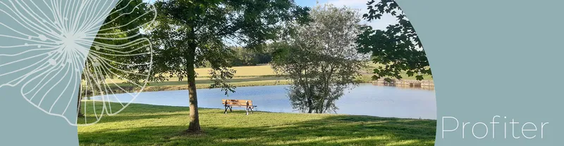 Étang du domaine bordé d'arbres avec un banc en bois face à l'eau, entouré de prairies verdoyantes