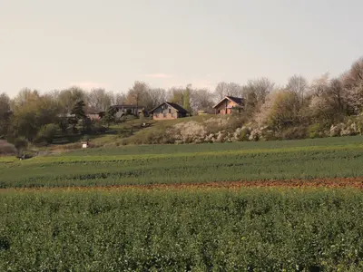 Photo de Soléole