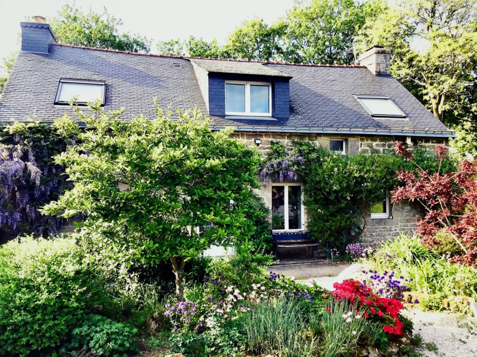 Façade du gîte Les Piléas avec glycine en fleur et jardin luxuriant