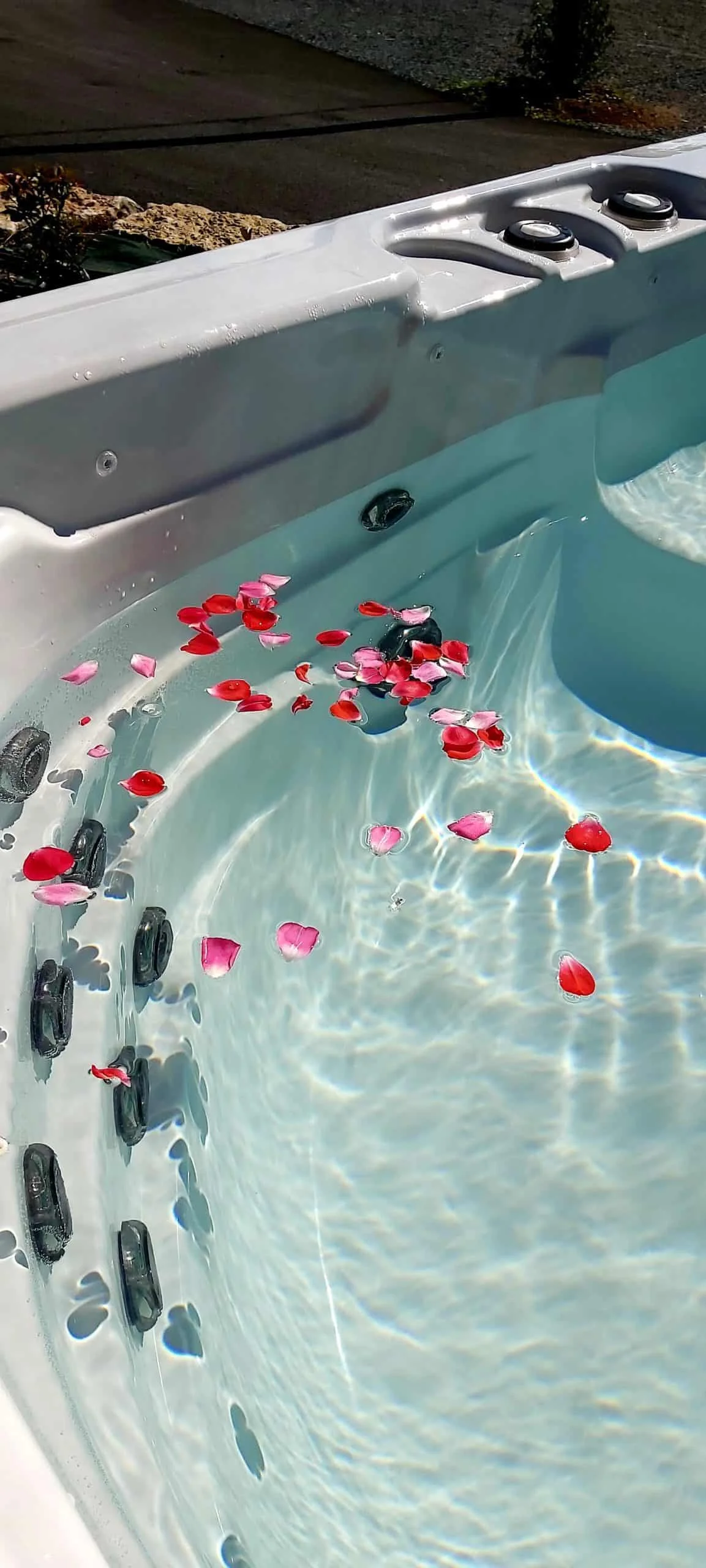 Jacuzzi extérieur rempli de pétales de roses rouges et roses flottant à la surface de l'eau
