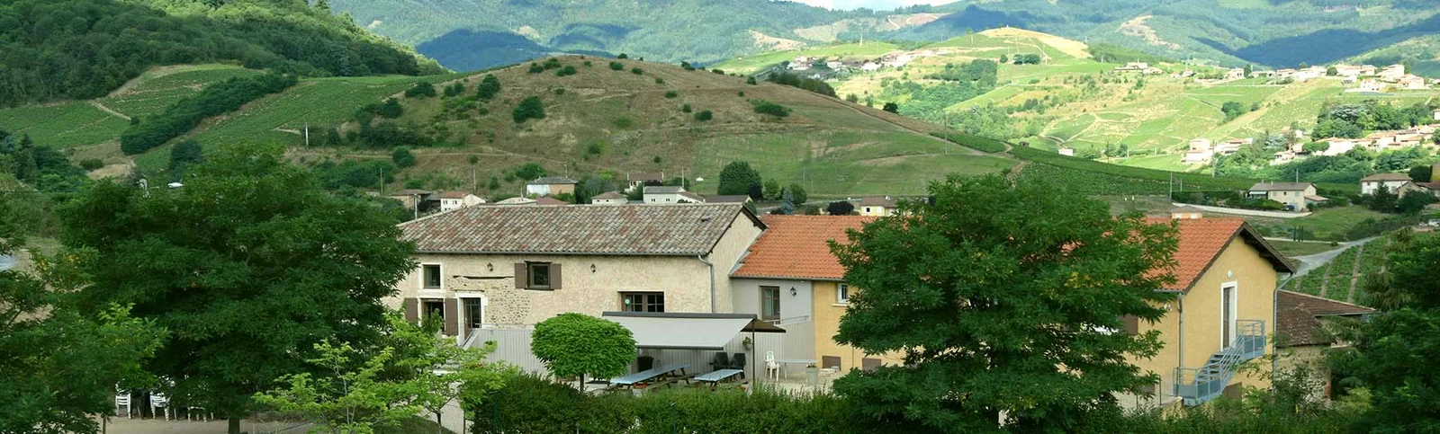 Vue d'ensemble du gîte La Girardière, maison de caractère de plain-pied au cœur des vignes