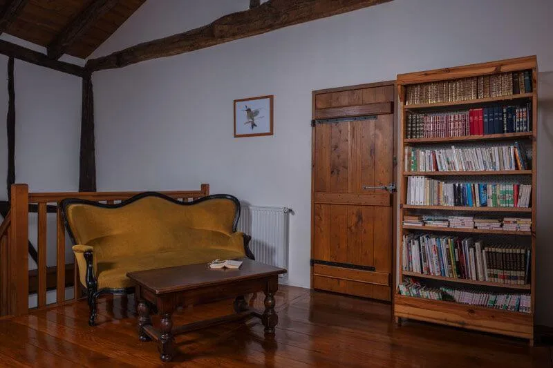 Coin lecture avec canapé en velours moutarde et bibliothèque en bois garnie de nombreux livres
