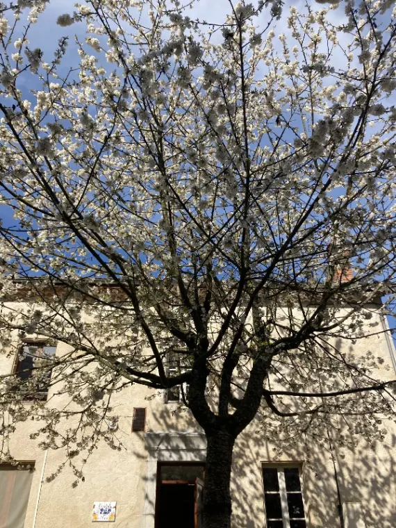 Gîte La Pépite du Vercors — gîte de groupe à Saint-Martin-en-Vercors