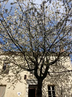 Photo de La Pépite du Vercors