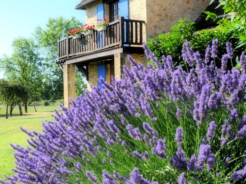 Photo 5 de Hameau du Jardin Fleuri à Bosset