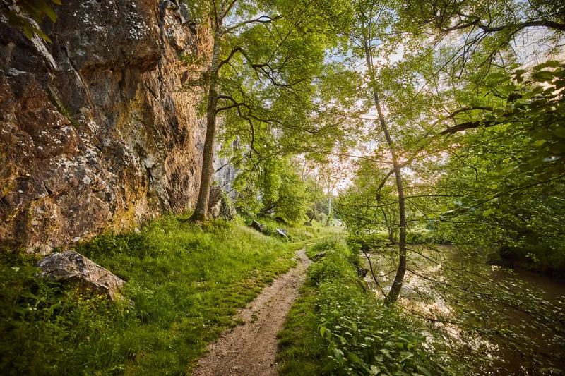 Photo 5 de Domaine de Dansé à Thorigné-en-Charnie