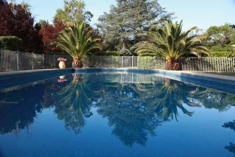 Piscine privee du chateau entouree de pins dans le parc