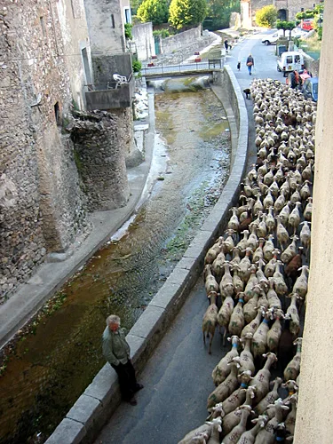 L'Aire de la Séranne – Saint Jean de Buèges