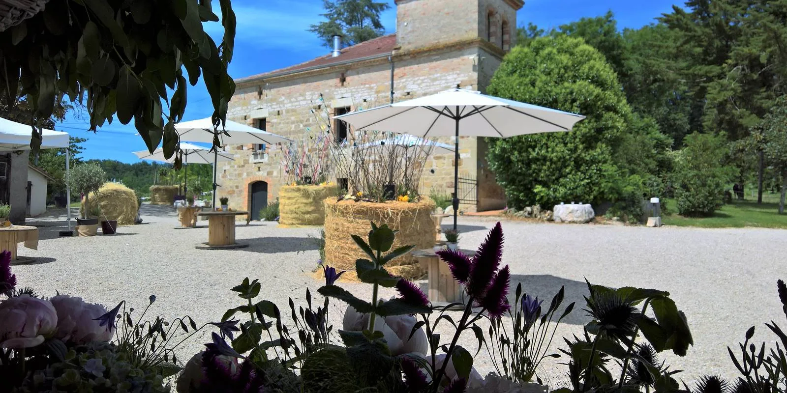 Gîte de groupe Domaine de Massoulac à Molières — Le Domaine de Massoulac vu depuis les collines du Quercy Blanc avec le paysage vallonné, capacité 36 personnes