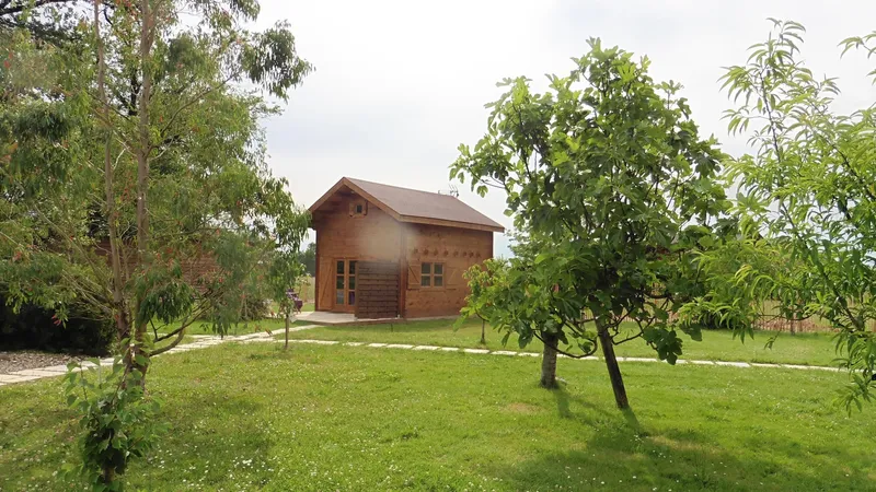 Chalet Cinéma en bois dans le parc avec terrasse privative