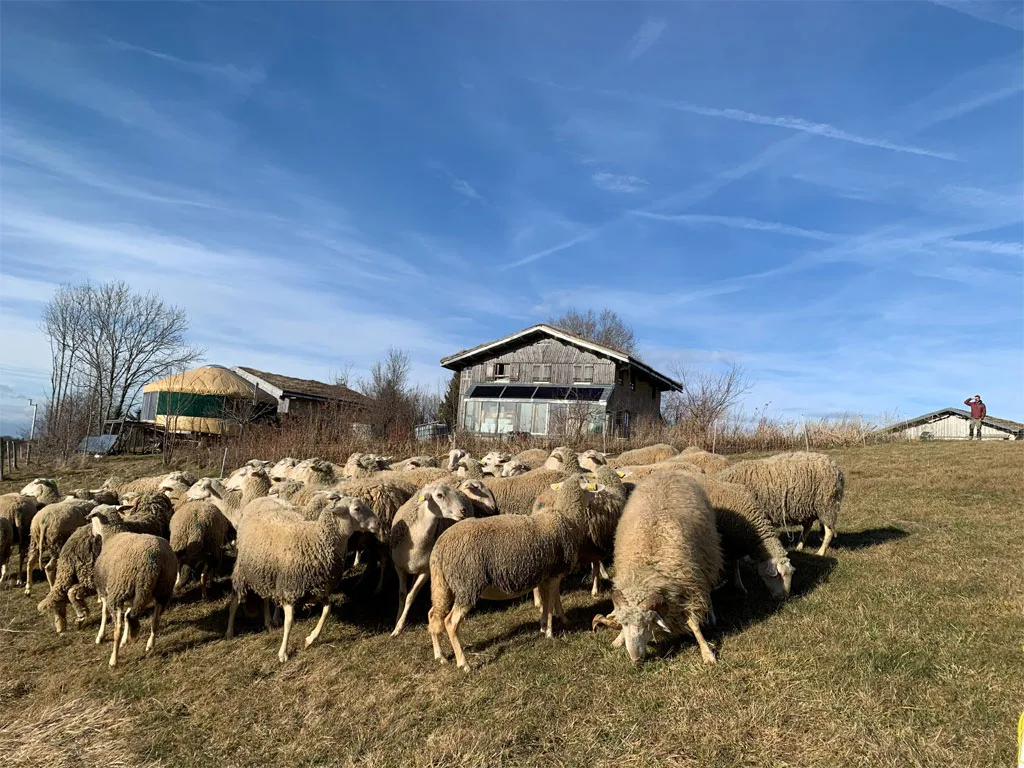 Gîte de groupe La Ferme au Chapeau Vert à Les Bouchoux — La Ferme au Chapeau Vert, capacité 20 personnes