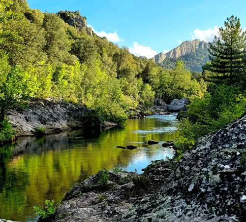 Photo 2 de Gîtes Ô fil de l'eau à Omessa