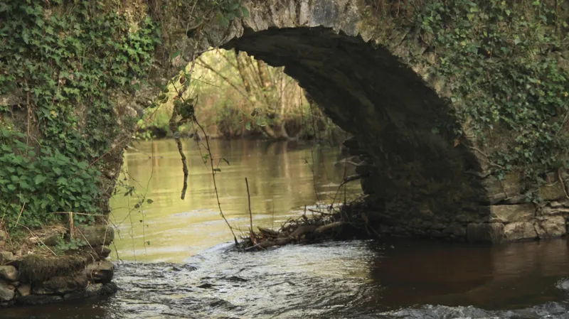 Photo 3 de Le Moulin du Pont à Berneuil