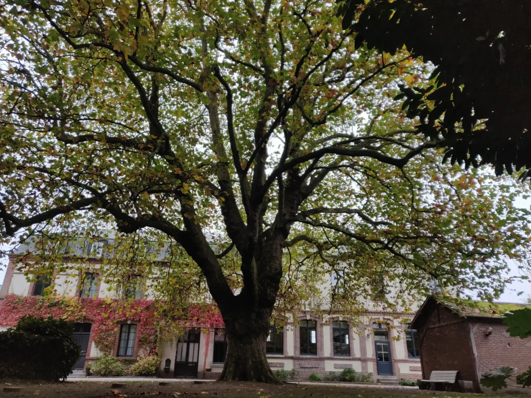 Le Pensionnat – Asnières