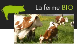 Photo 2 de Ferme Bio de They à Sorans-lès-Breurey